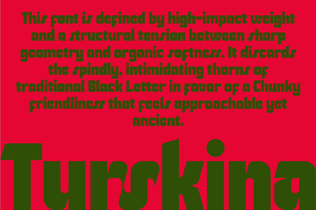 Turskina, a Sans Serif Font by Bagerich Type Foundry (Photo 11 of 11)