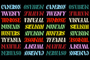 Pronema - Modern Serif, a Serif Font by tebaltipislab (Thumbnail 5 of 13)