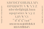 Roeska - Modern Serif Font, a Serif Font by Aqeel_Art (Thumbnail 10 of 12)
