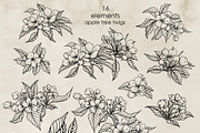 Apple blossom & fruit. Vector set, a Decorative Illustration by ON_lineart_store (Thumbnail 5 of 12)