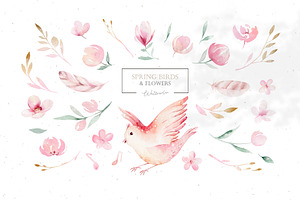 Watercolor Spring Birds & Flowers