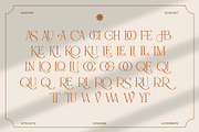Ophirra – Elegant Serif Font, a Serif Font by kangfont Studio (Thumbnail 3 of 10)
