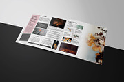 Multipurpose Portfolio Brochure, a Brochure Template by Template Shop (Thumbnail 3 of 6)