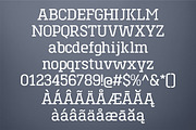 Toenas Bangsa Font Family, a Slab Serif Font by Bang Kumis Typefoundry (Thumbnail 2 of 8)