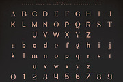 Mila - Innovative Super Serif Font, a Sans Serif Font by VP Fonts (Thumbnail 10 of 11)