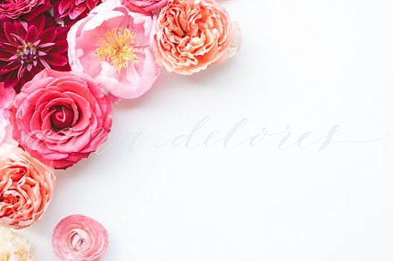 Styled Stock Flower Photo