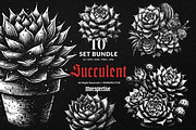 10 Bundle Dark Art Succulent Cactus, an Illustration by Morspective (Thumbnail 1 of 7)