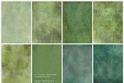 Veine Verte Botanical Backgrounds, a Background Graphic by alonahaidash (Thumbnail 13 of 20)