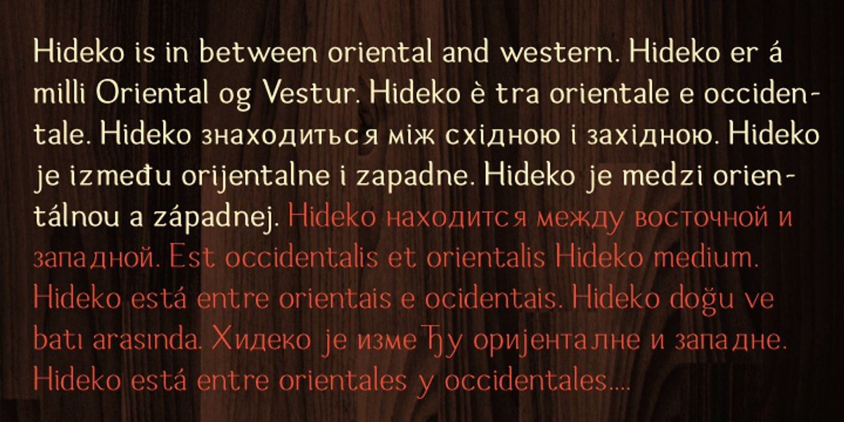 Hideko, a Serif Font by Khaito Gengo (Photo 4 of 7)
