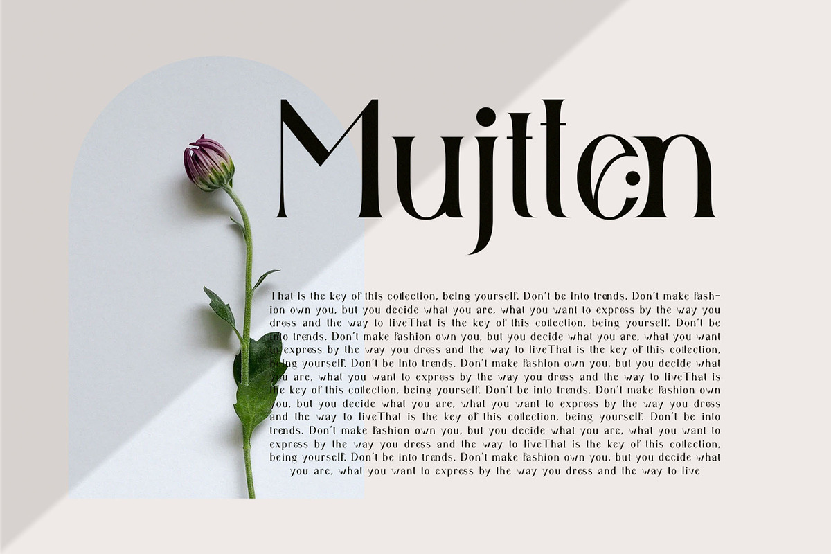Gallies Ligature Serif Typeface, a Serif Font by Humaira_std (Photo 5 of 9)