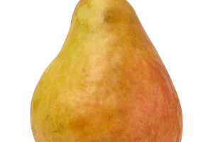 Ripe yellow pear with a light blush and stem, whole ripe fruit, a Food & Drink Photo by ndanko