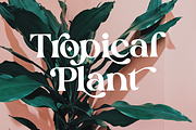 Silk Flower - Modern Serif, a Serif Font by Megi Satyo Widodo (Thumbnail 17 of 26)