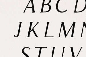 Apricot - Handlettered Serif Font