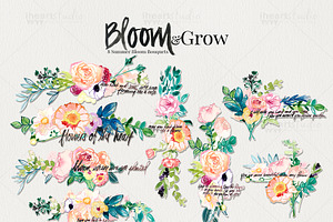 Bloom & Grow Watercolors