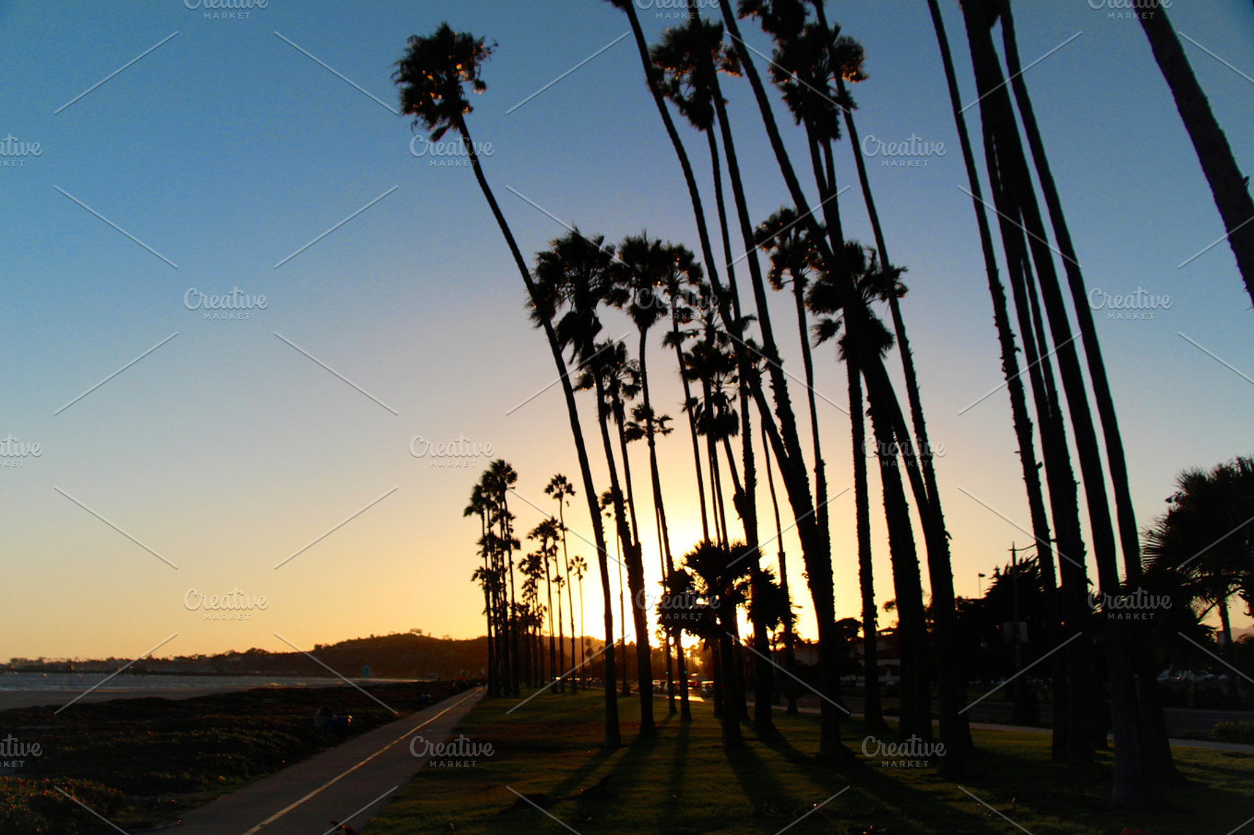 Palm Trees At Sunset Stock Photo