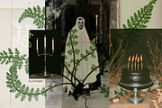 Fern & Paper Archive, a Background Graphic by nadispasibenko (Thumbnail 10 of 10)
