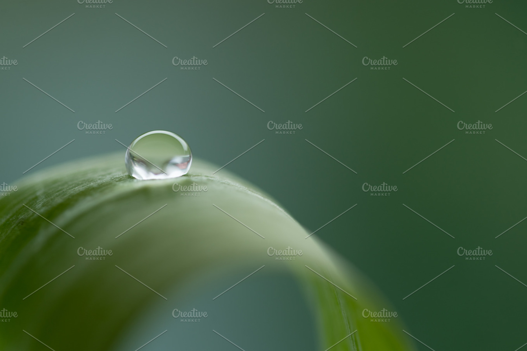 Waterdrop featuring water, closeup, and close-up, a Nature Photo by Screeny's Photo Bucket