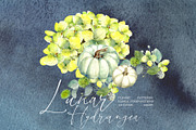 Lunar Hydrangea, an Illustration by JennyColorArt (Thumbnail 1 of 9)