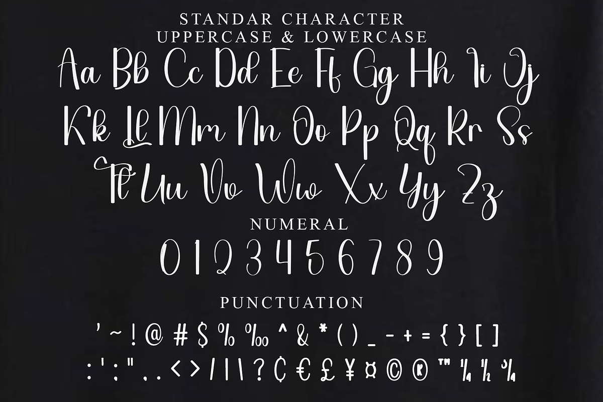 Daily Soulmate, a Handwritten Font by FreshTypeINK (Photo 2 of 8)