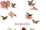 Watercolor Hummingbirds and Flowers, an Illustration by Pretty light (Thumbnail 2 of 2)