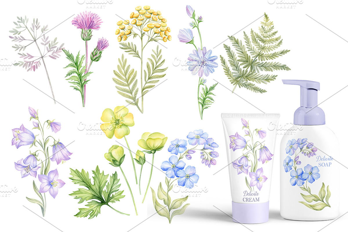 Wild flowers bundle, set Wildflowers, a Texture Illustration by MarinadeArt (Photo 3 of 8)