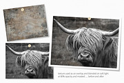 Scratched Wood, a Texture Graphic by rileyBgraphics (Thumbnail 3 of 6)