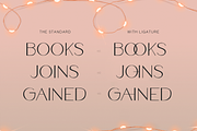 Gabrieli - Fancy Modern Sans Display, a Sans Serif Font by Cloverons (Thumbnail 2 of 14)