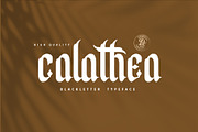 Calathea Blackletter Font, a Blackletter Font by dansdesign (Thumbnail 1 of 6)