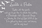 Kamdyn Calligraphy Font + Extras, a Script Font by Seven Seas Design Co. (Thumbnail 3 of 4)