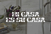 Caysa - Elegant Display Font, a Sans Serif Font by Flawless And Co (Thumbnail 7 of 10)