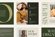 Gaia Natural Canva IG Template, a Social Media Template by JZ Creative Space (Thumbnail 4 of 5)