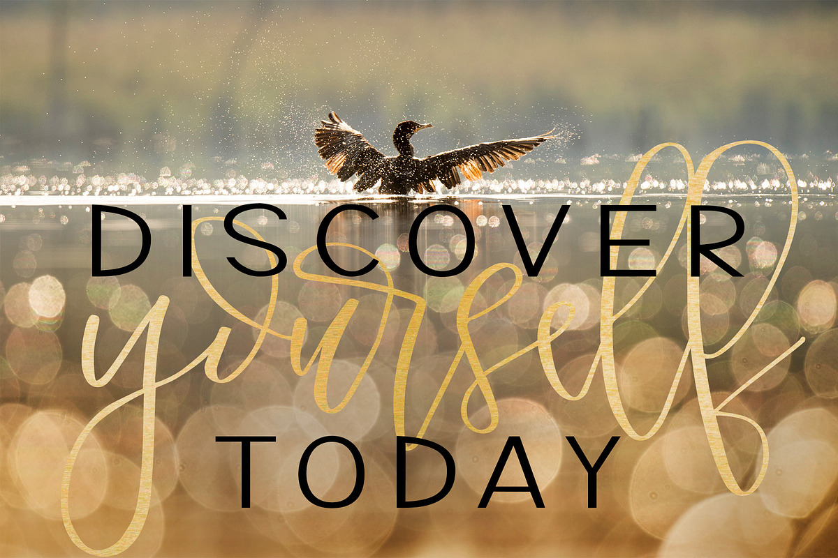 Monte Rosa, a Script Font by Affinity Grove (Photo 9 of 18)