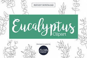 Eucalyptus Dainty Drawing Bundle