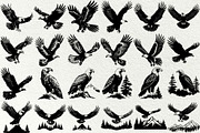 Eagle SVG Bundle, an Animal Illustration by DENIDigitalArtSudio (Thumbnail 3 of 6)