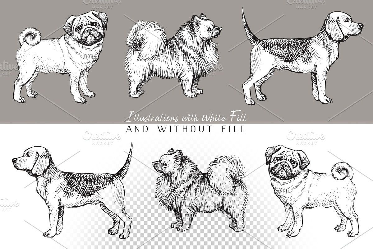 Dog breeds vintage hand drawn vector, an Illustration by Aquatinta (Photo 2 of 8)