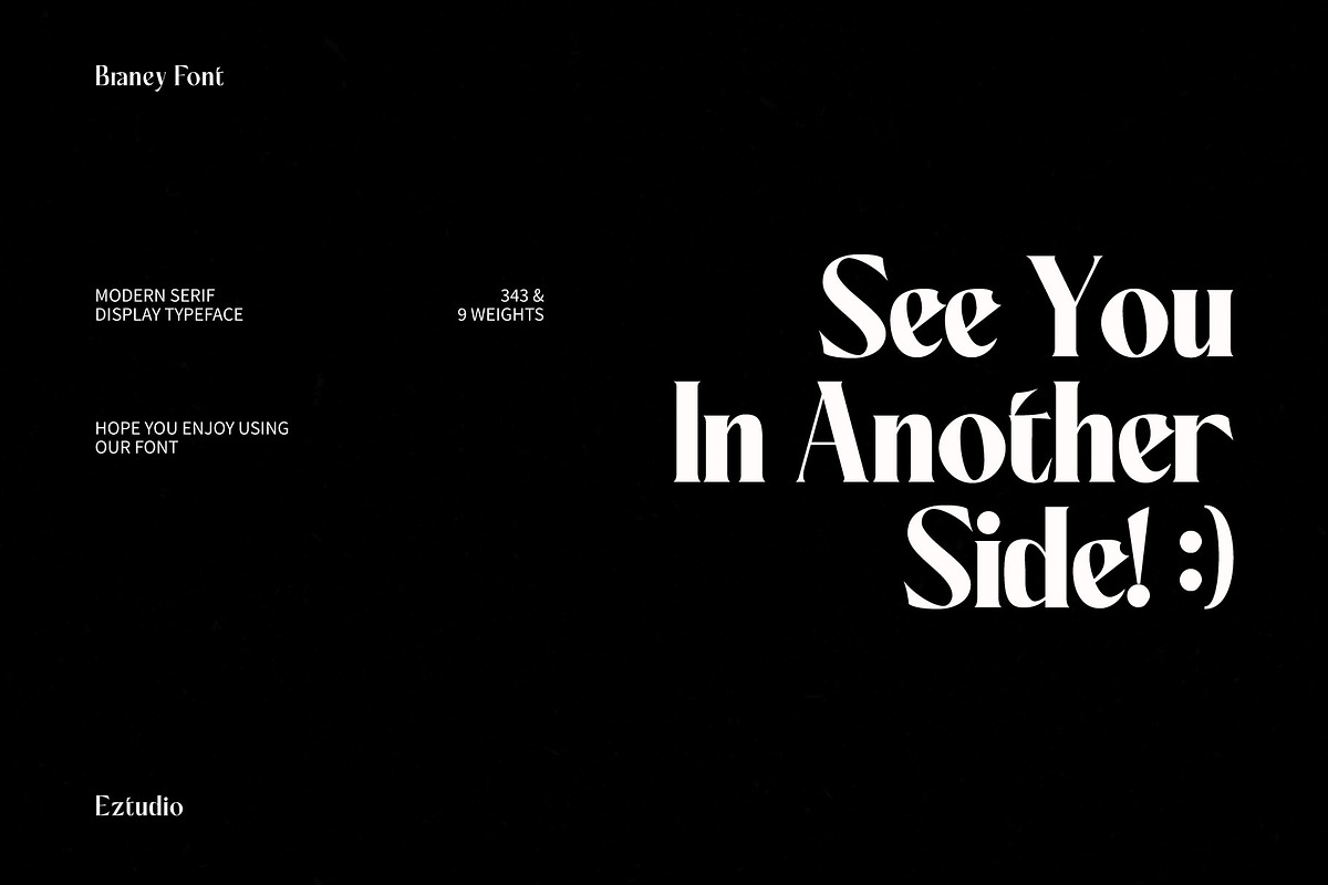Ez-Barney - Modern Serif Display, a Serif Font by Eztudio (Photo 13 of 13)
