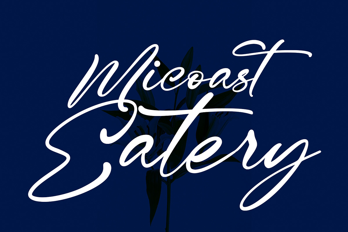 Mittchely Signature Script Font, a Script Font by Maulana Creative (Photo 6 of 8)