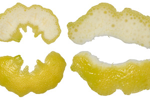 Four pieces of lemon peel in different shapes showing the white, a Food & Drink Photo by ndanko