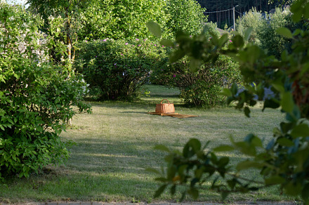 Picnic area in summer. green lawn an, a Holiday Photo by nafood