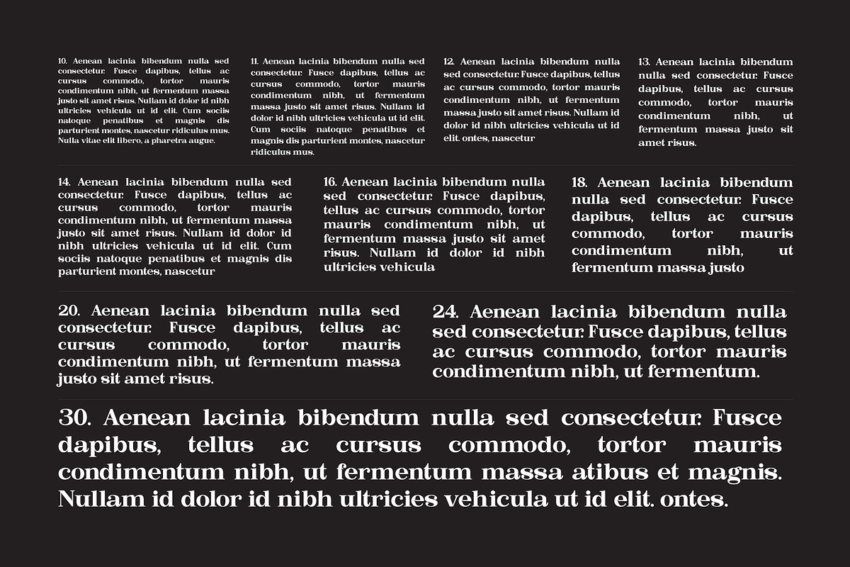 Bastine - Modern Classy Serif Font, a Serif Font by Afkari Studio (Photo 6 of 16)