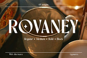 Rovaney - Fancy Font Family, a Serif Font by Arterfak Project (Thumbnail 1 of 15)