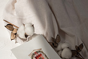 Winter & Christmas Watercolor, a Decorative Illustration by Lana Elanor (Thumbnail 5 of 11)