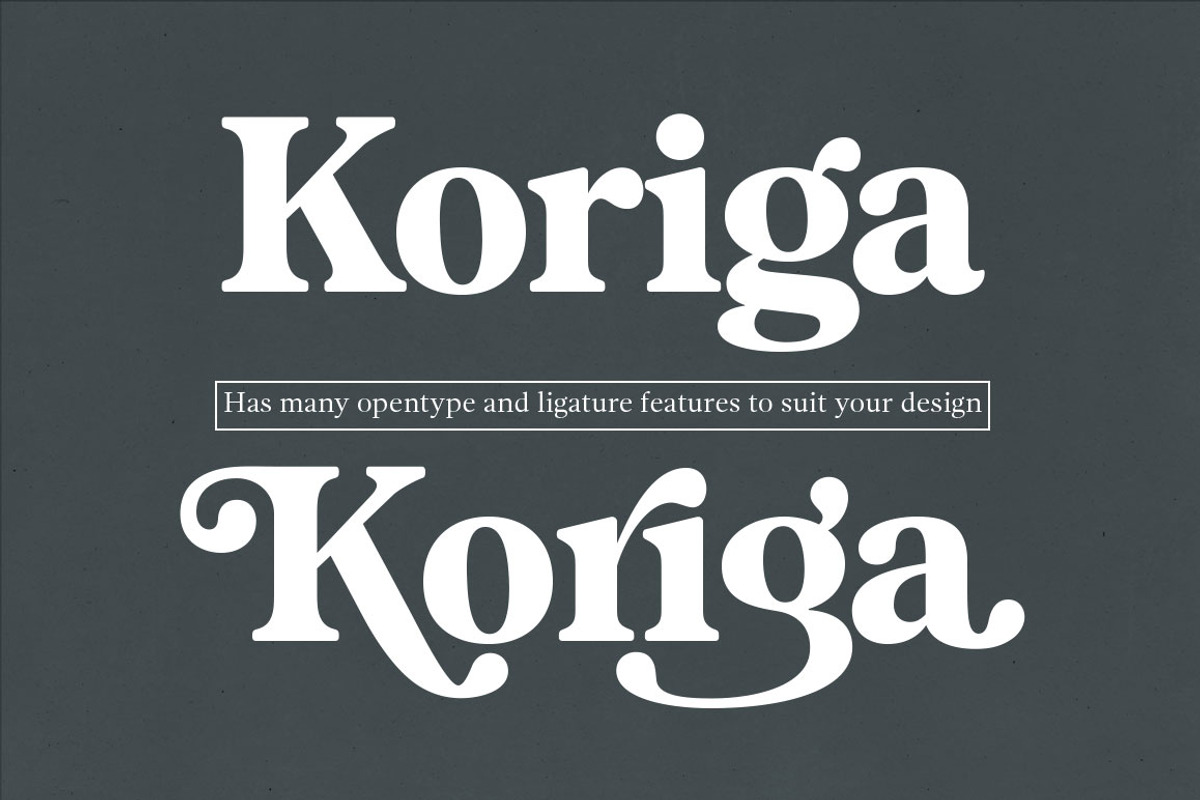 Magnilo Display, a Serif Font by Mulkan Nazir (Photo 14 of 18)