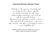 Blissful Radiance Handwritten Font, a Handwritten Font by The Gelato Type (Thumbnail 12 of 29)