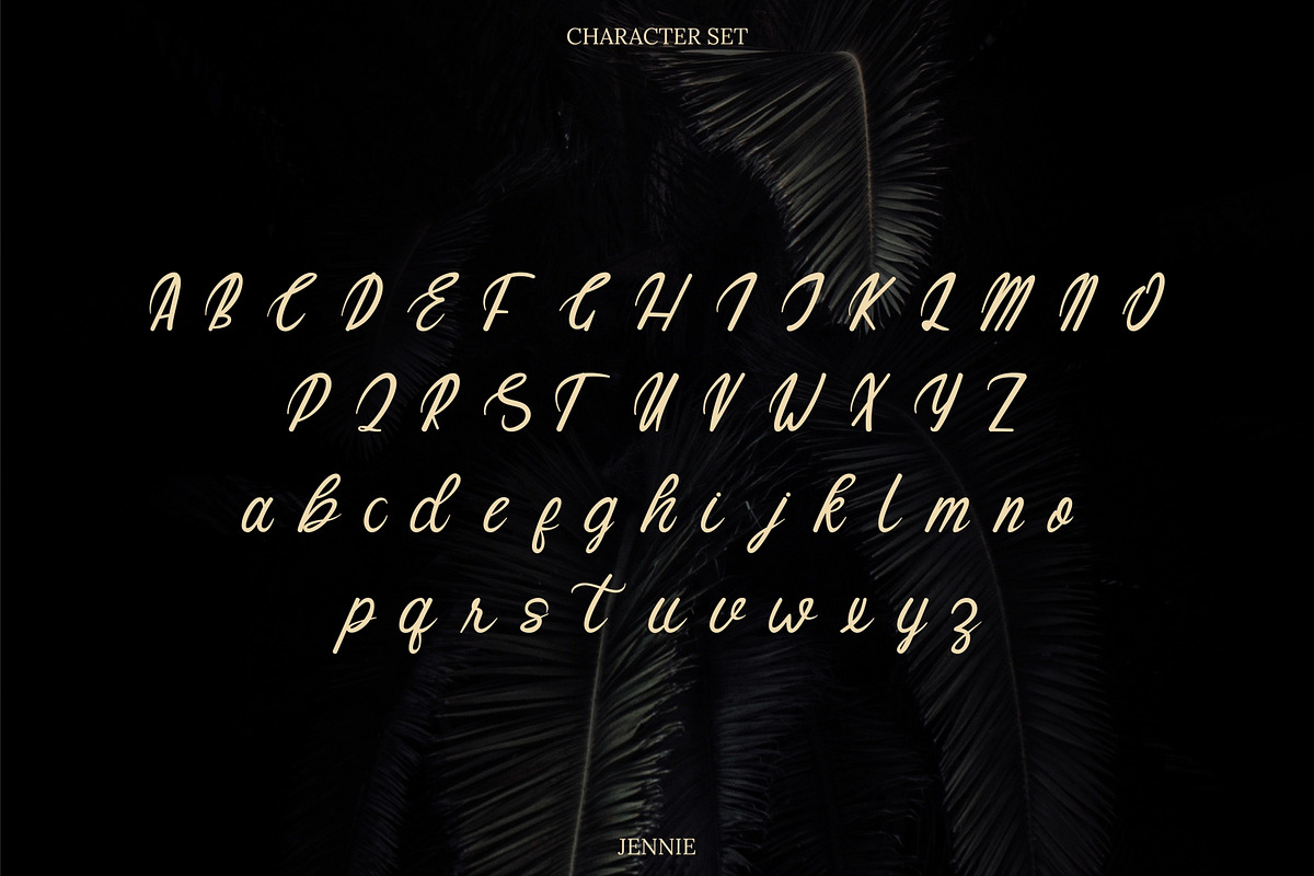 Jennie Modern Handwritten Font, a Script Font by infernostudio3
