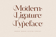 Adorage Modern Ligature Typeface, a Serif Font by Storytype Studio (Thumbnail 4 of 15)