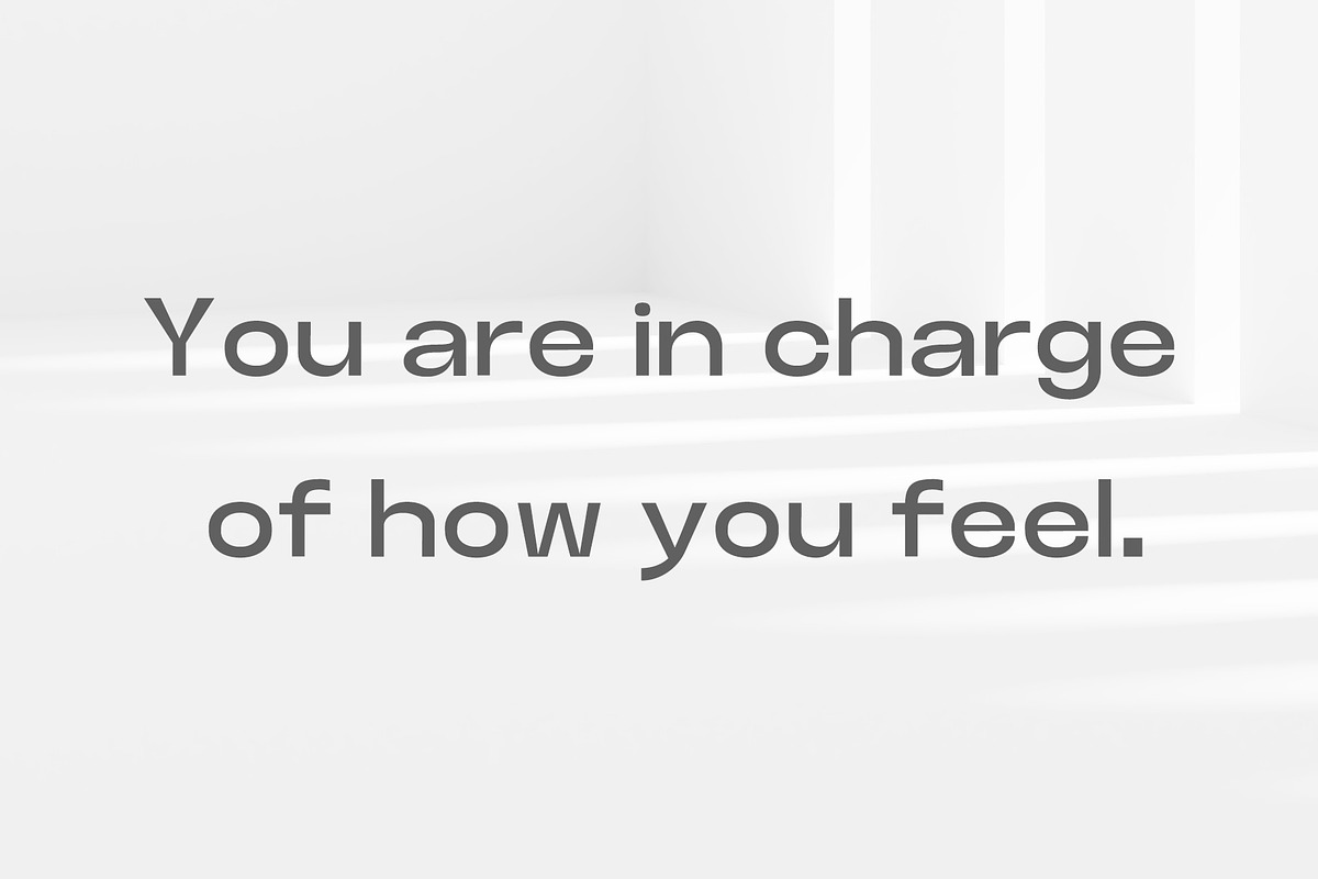 Abrasha Sans Serif Font Family preview 4