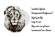 Lion head hand drawn vector, an Animal Illustration by AnastasiyaOleynik (Thumbnail 3 of 3)