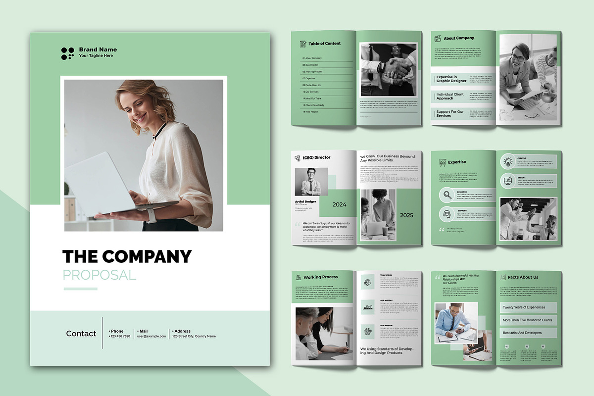 Proposal Brochure Template, a Brochure Template by ContestDesign (Photo 1 of 4)
