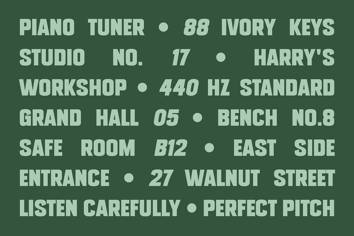 SFC Signsmith Variable Font, a Sans Serif Font by Skilline Supply Co. (Photo 5 of 21)